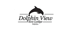 Dolphin View