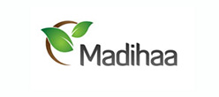 Madihaa