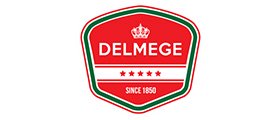 Delmage Group