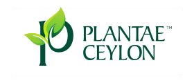 Plantae Ceylon