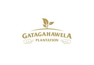 Gatagahawela Tea